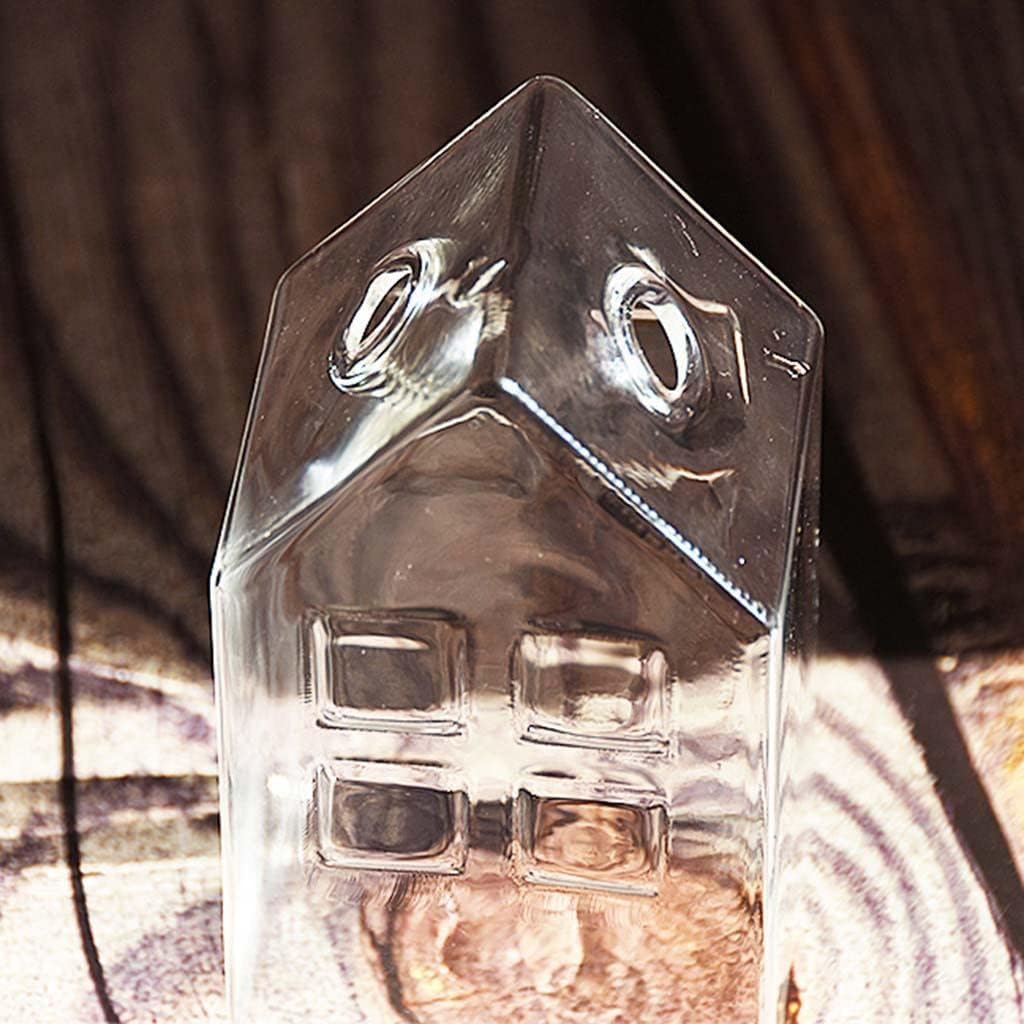 Small Clear Glass Vase Simple Bud Vase for Centerpiece Home Decor Table, 6x6x11cm